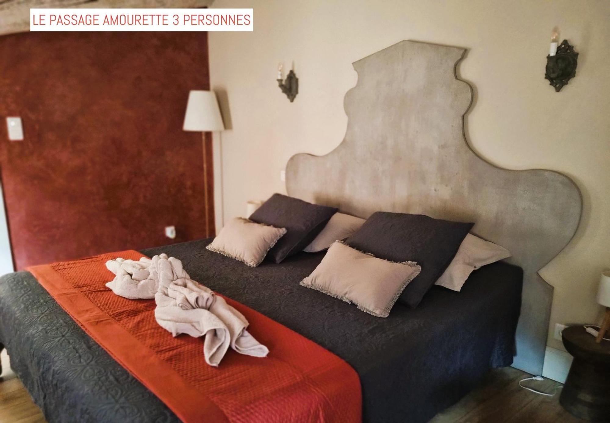 Le Passage Bed & Breakfast Carcassone Exterior photo