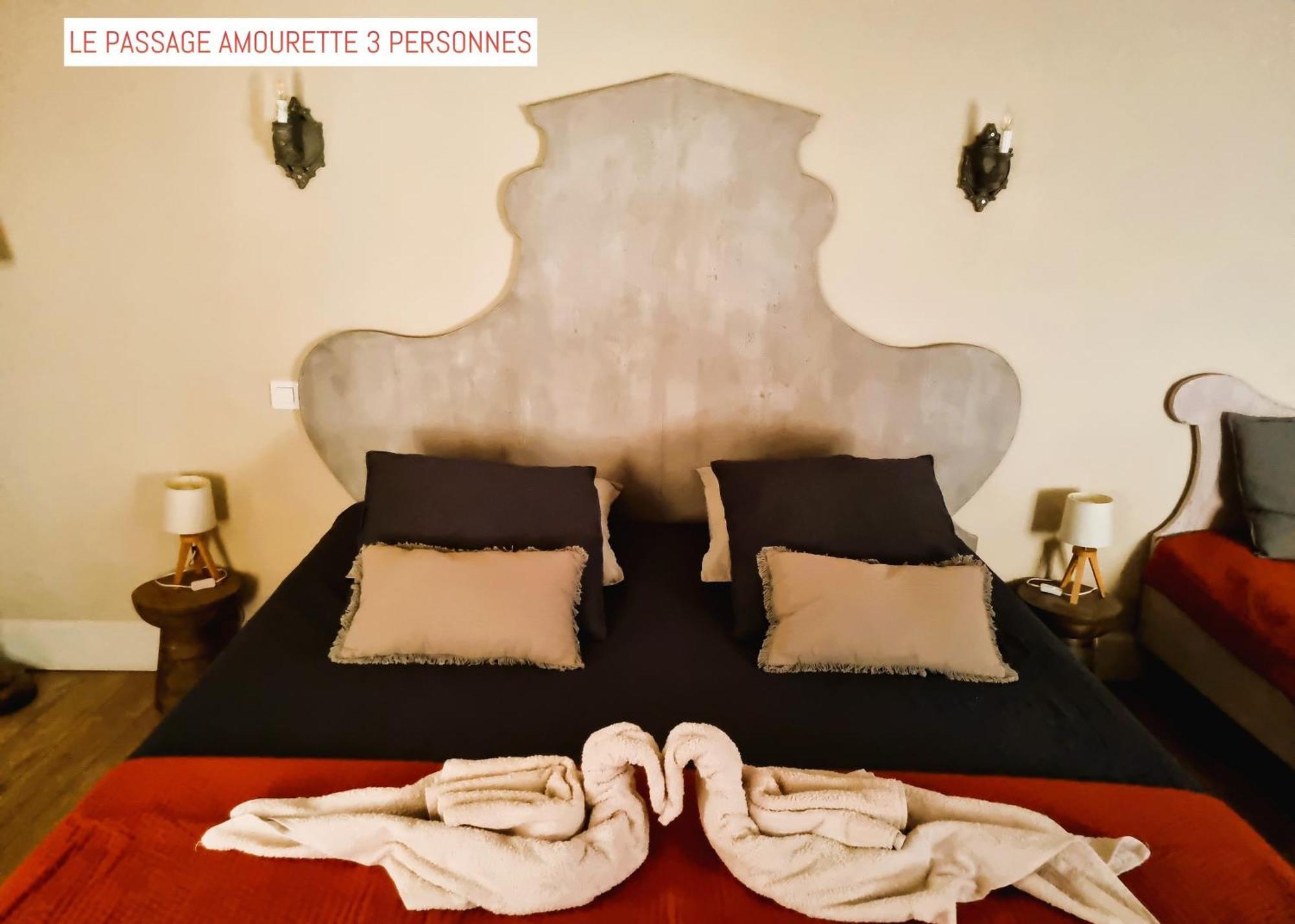 Le Passage Bed & Breakfast Carcassone Exterior photo