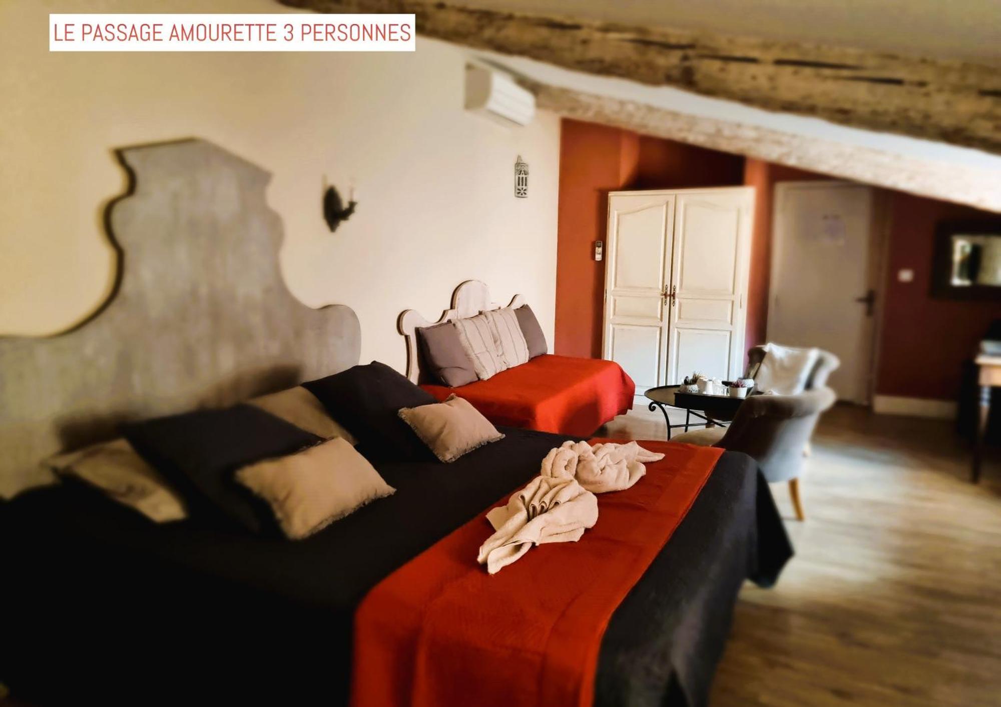 Le Passage Bed & Breakfast Carcassone Exterior photo
