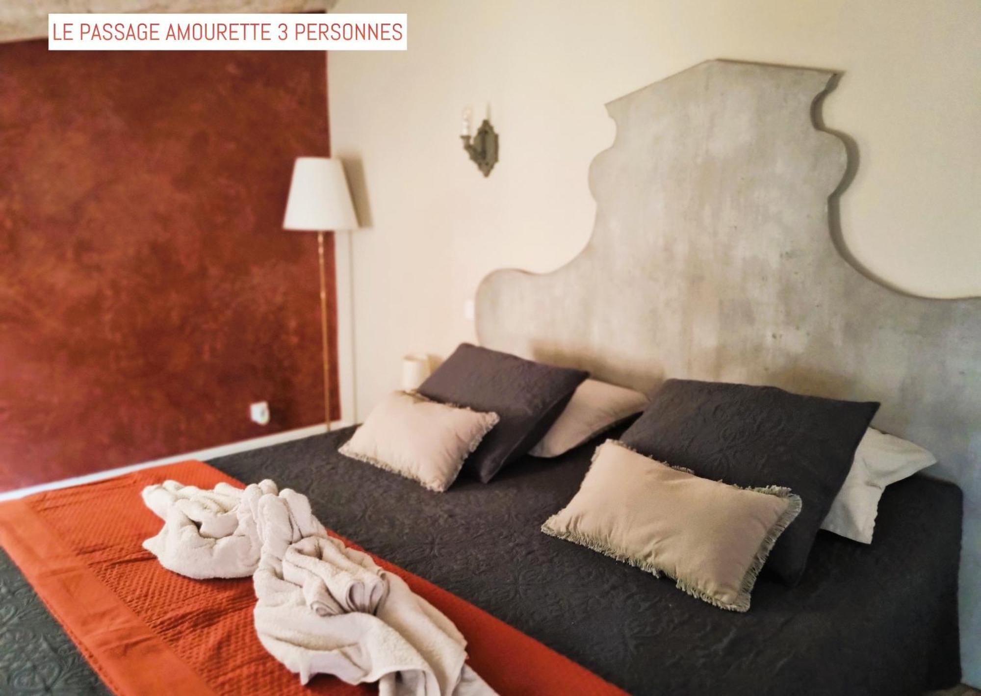 Le Passage Bed & Breakfast Carcassone Exterior photo