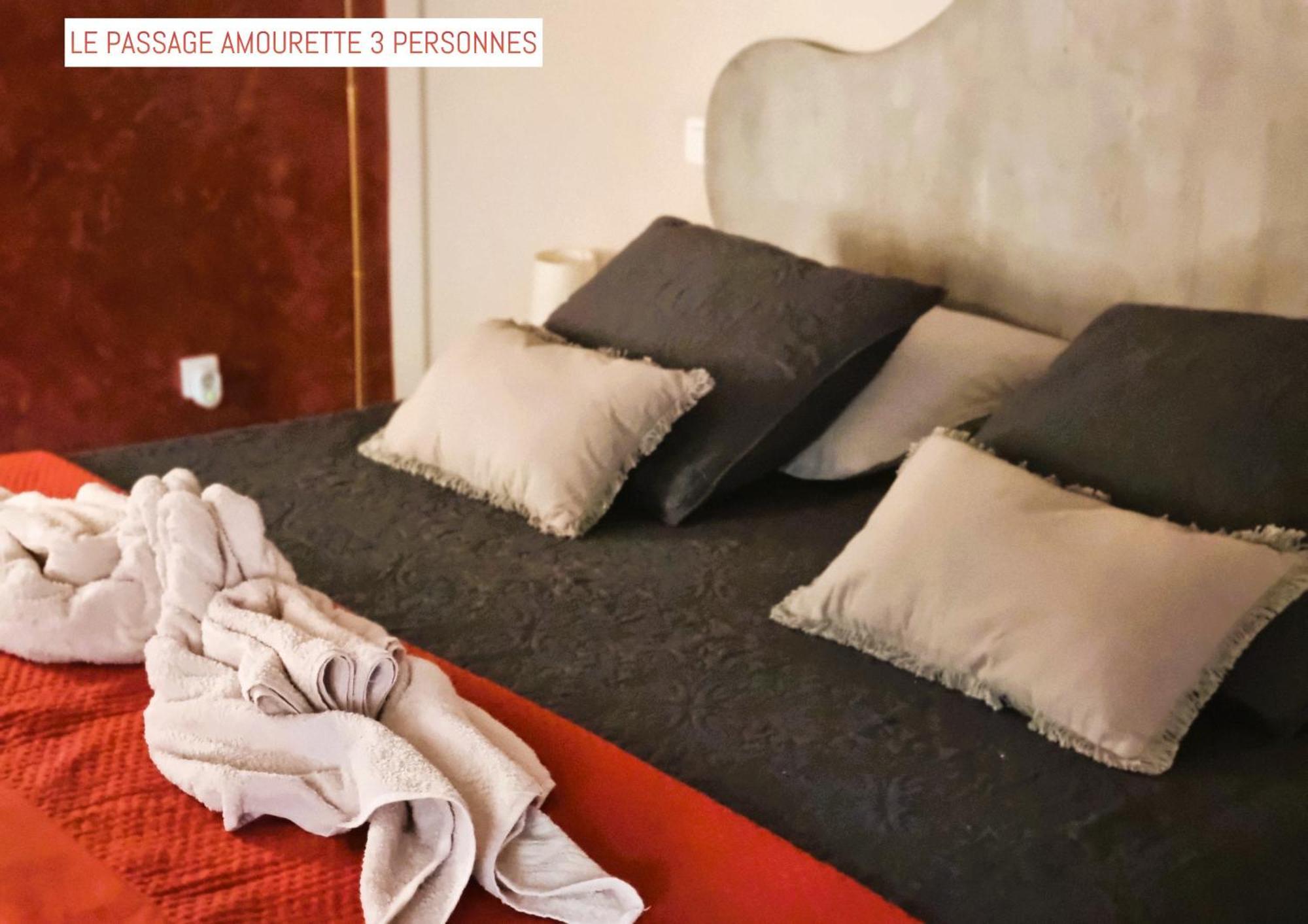 Le Passage Bed & Breakfast Carcassone Exterior photo